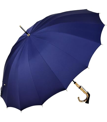 Amazon | 傘 レディース 長傘 前原光榮商店 カーボン 16本骨